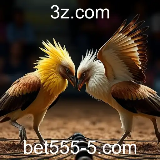 Explorando o Mundo dos Jogos de Sabong com Bet5555